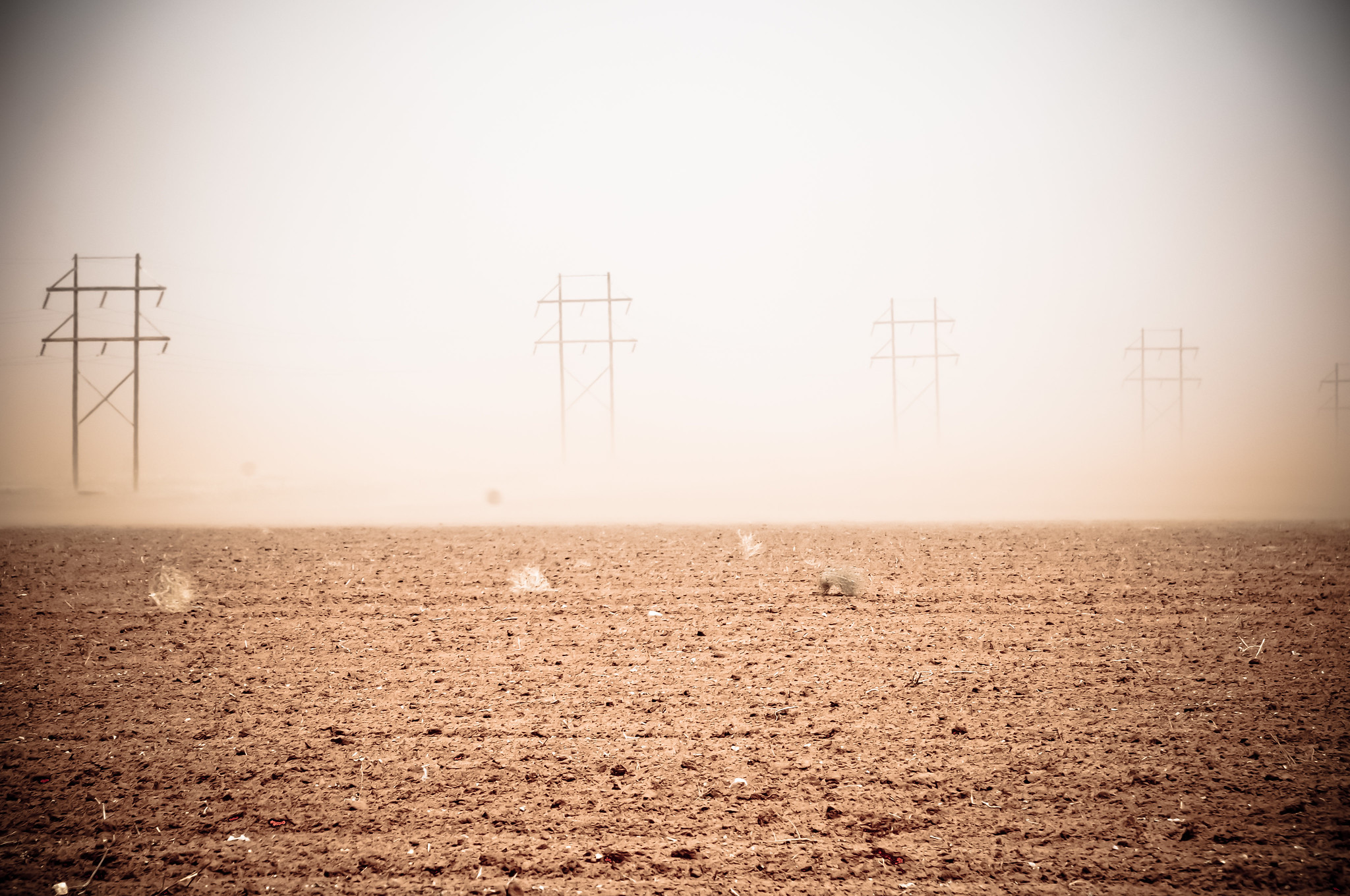 Power lines disappearing into a South Plains dust storm as tumbleweeds cross a bare field